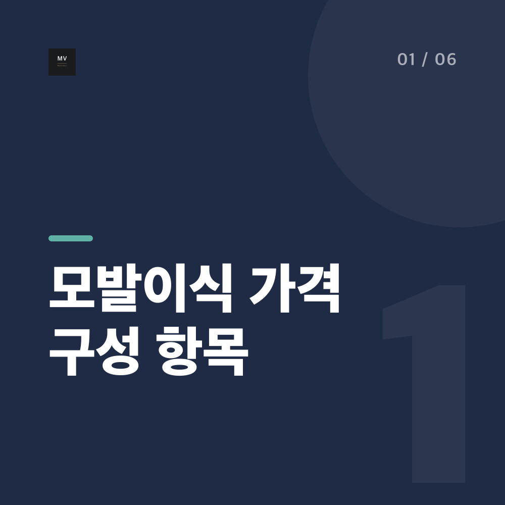 모발이식 가격 구성 항목
